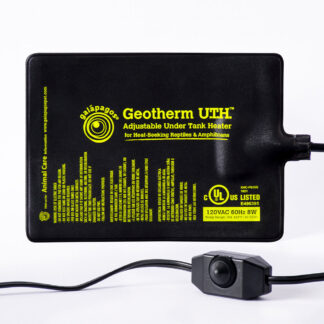 Are Uromastyx Friendly Pets?